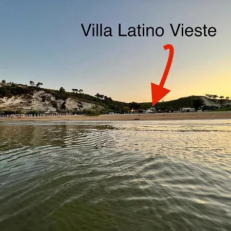 ゲストハウス Latino ヴィエステ